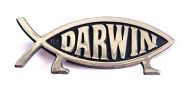 Darwin Fish Fridge Magnet (Silver)
